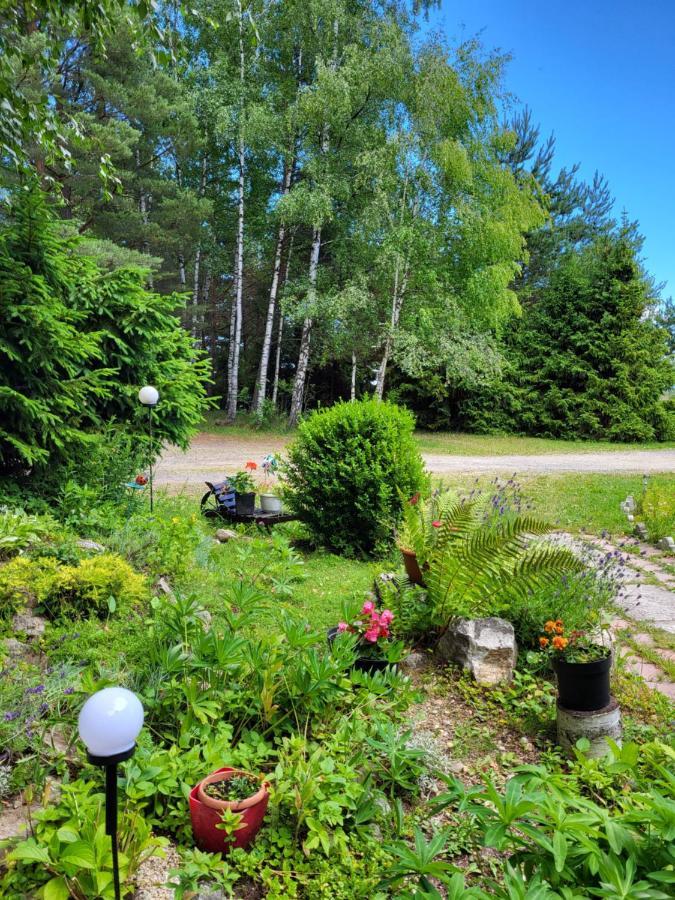 Vila Elena Stará Lesná Kültér fotó